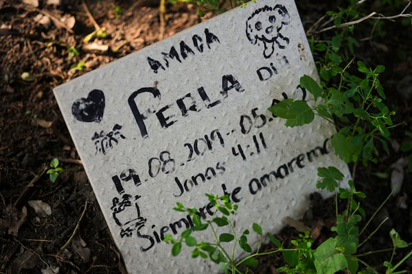 A grave marker identifies where pet dog Perla is buried, with an epitaph that reads in Spanish: ¨Beloved Perla, we will always love you¨, at a pet cemetery in Mexico City, Tuesday, Oct. 29, 2024. (AP Photo/Fernando Llano)