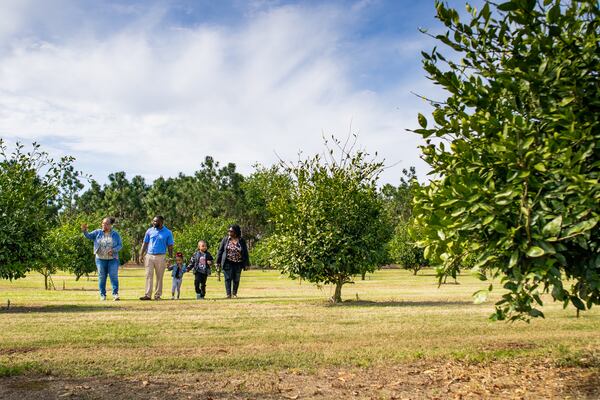 The newly launched Southwest Georgia Agri-Tourism Trail includes a tour of Resora, a working farm and lodging destination in Albany that was formerly a plantation. The property is owned by New Communities Land Trust, a collective of farmland owned and operated by Black farmers. Courtesy of Airbnb