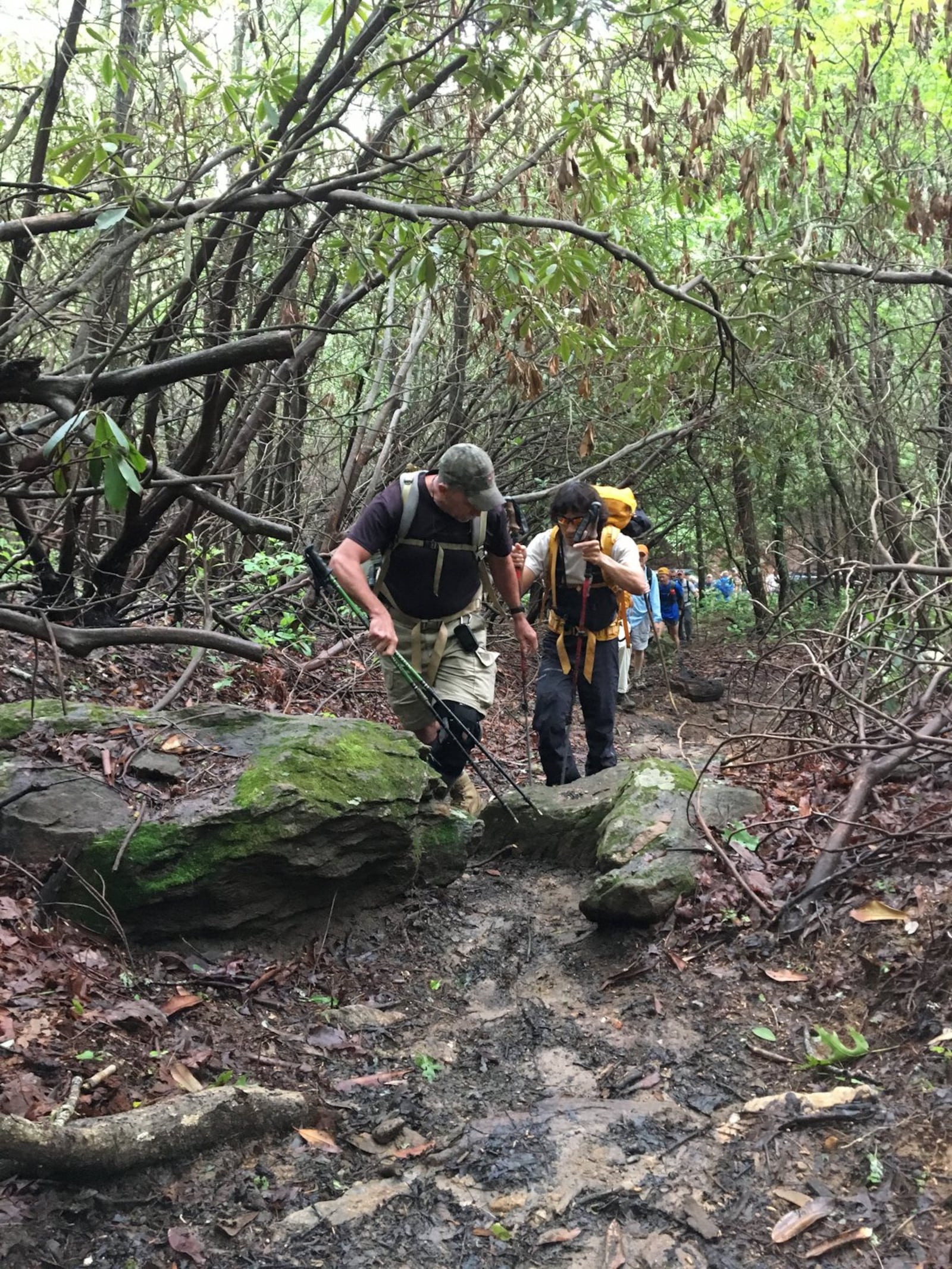 Veterans Tom Wilburn (front) and Steve Baskis lead a group of fellow hikers on the Appalachian Trail June 1 as part of a 74-mile trek sponsored by the Blinded Veterans Association. Wilburn has his sight, but Baskis doesn’t. CONTRIBUTED BY FRANK REDDY