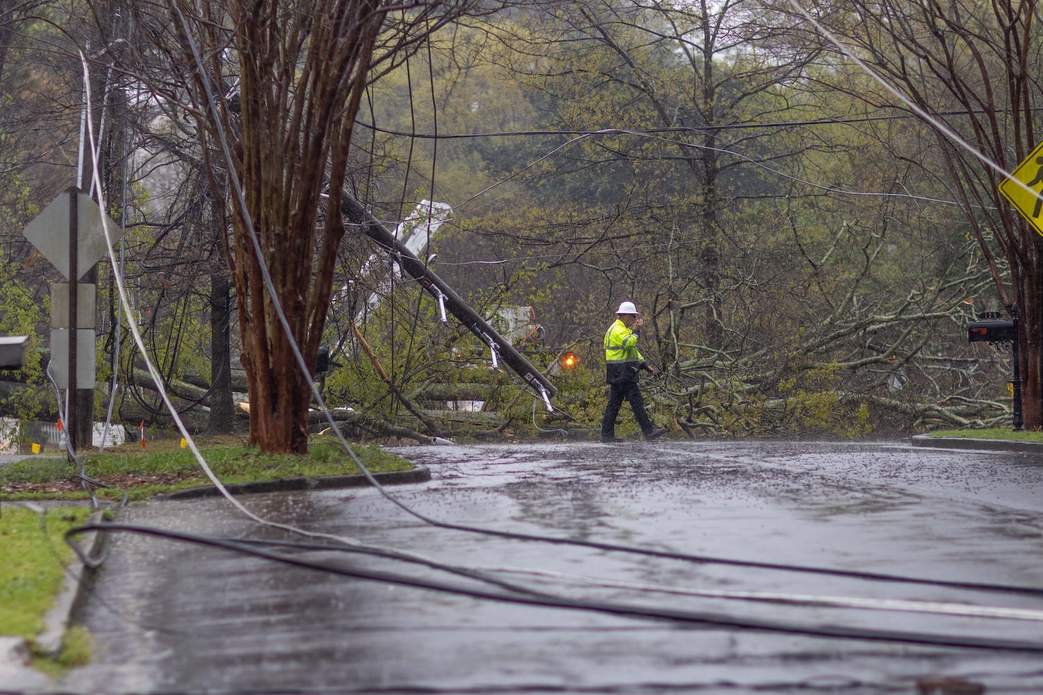 Strong storms bring down trees in Atlanta