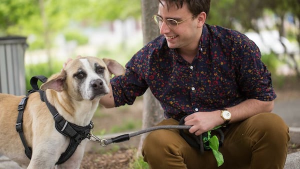 Pet adoptions are free at the DeKalb County Animal Services Shelter this Sunday.