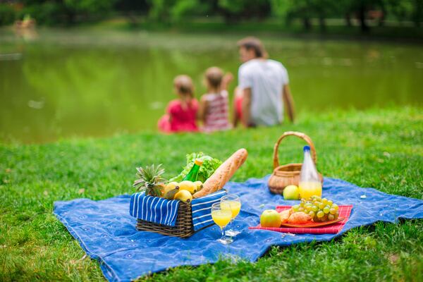 Father with little daughters on picnic near the lake Photo credit: Travnikov Studio