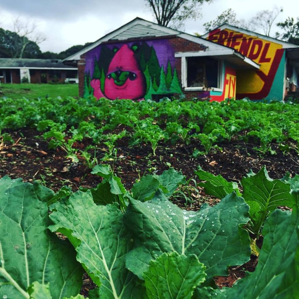 Urban Sprout 1 -- Urban farming in Atlanta