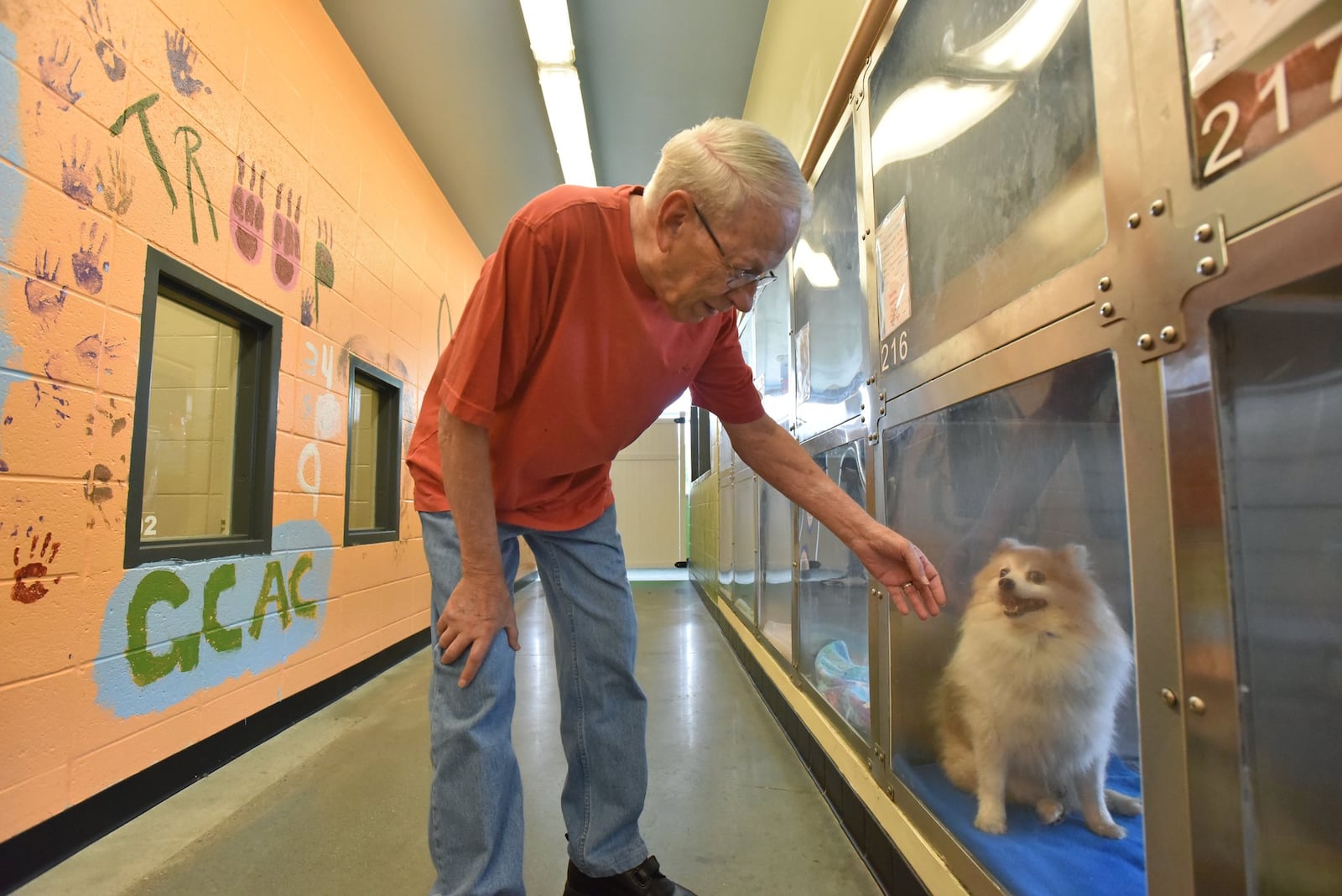 Thomas Roland looks for a dog to adopt at Gwinnett County Animal Welfare and Enforcement in Lawrenceville on Wednesday, May 16, 2018. HYOSUB SHIN / HSHIN@AJC.COM