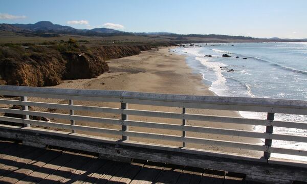 From mid-November to mid-January, tens of thousands of elephant seals gather along a stretch of San Simeon State Beach to give birth, nurse babies and then return to the sea. CONTRIBUTED BY WWW.CALIFORNIABEACHES.COM