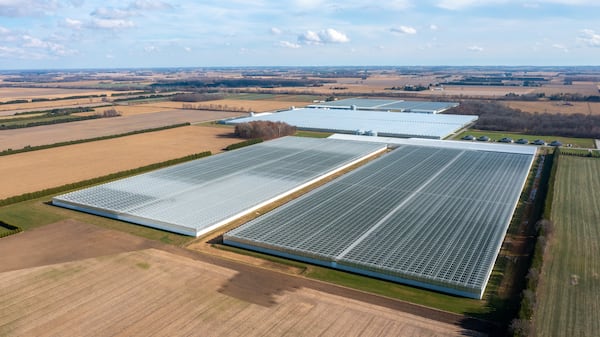 Cox Farms, the indoor agriculture business of Cox Enterprises, bought this large greenhouse operation from Greenhill Produce in Ontario, Canadam in 2024. Courtesy of Cox Enterprises.