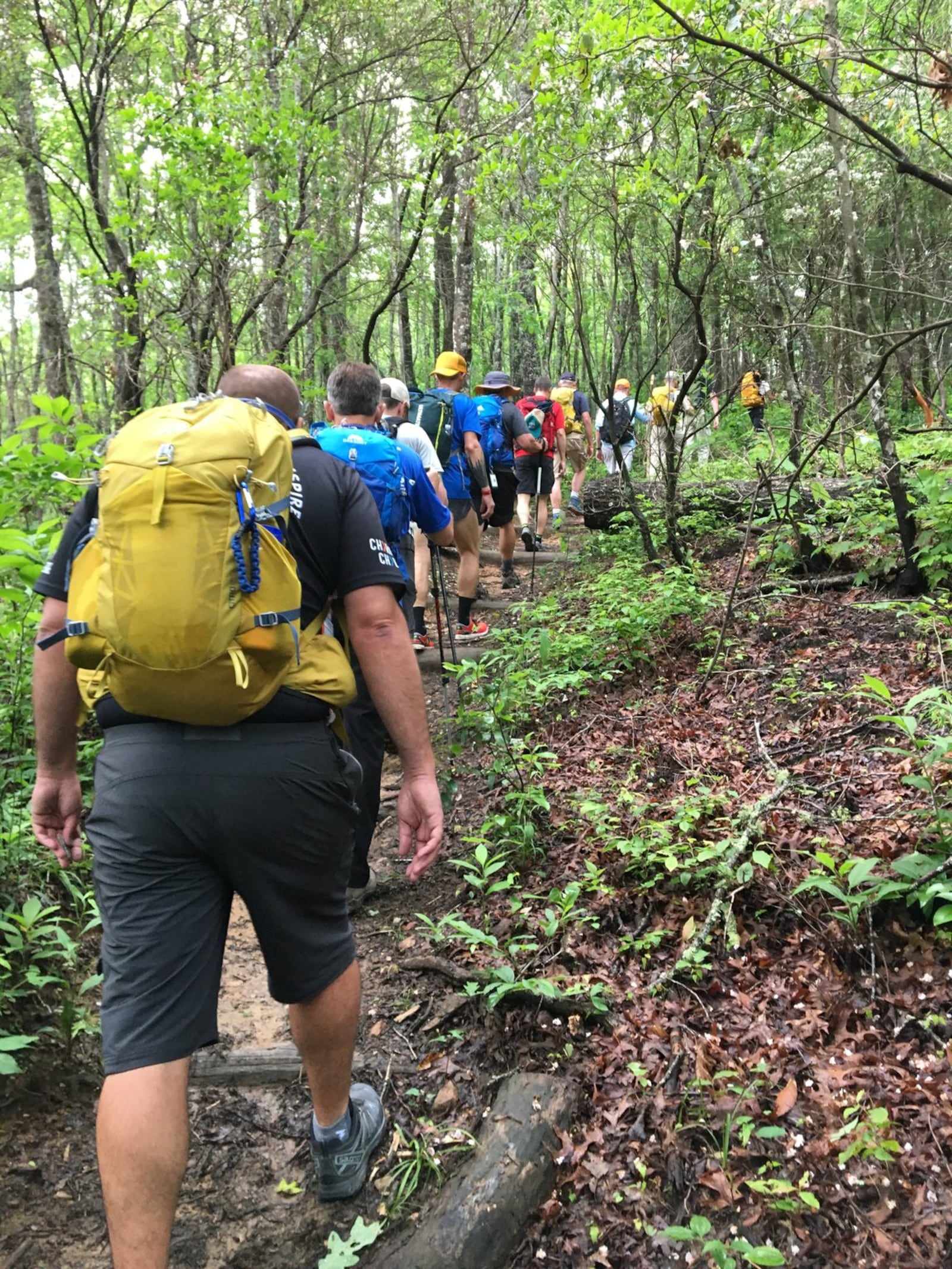 Sighted guides paired with blinded or visually impaired veterans on the 74-mile hike in early June from Blue Ridge Gap to U.S. Army Ranger Camp Frank D. Merrill in Dahlonega. CONTRIBUTED BY FRANK REDDY