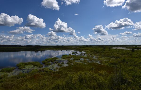 Twin Pines Minerals has filed a permit for a mining project near the Okefenokee Swamp. This Aug. 6, 2019, photo shows the view from the Owls Roost Tower in Okefenokee National Wildlife Refuge. HYOSUB SHIN / HYOSUB.SHIN@AJC.COM