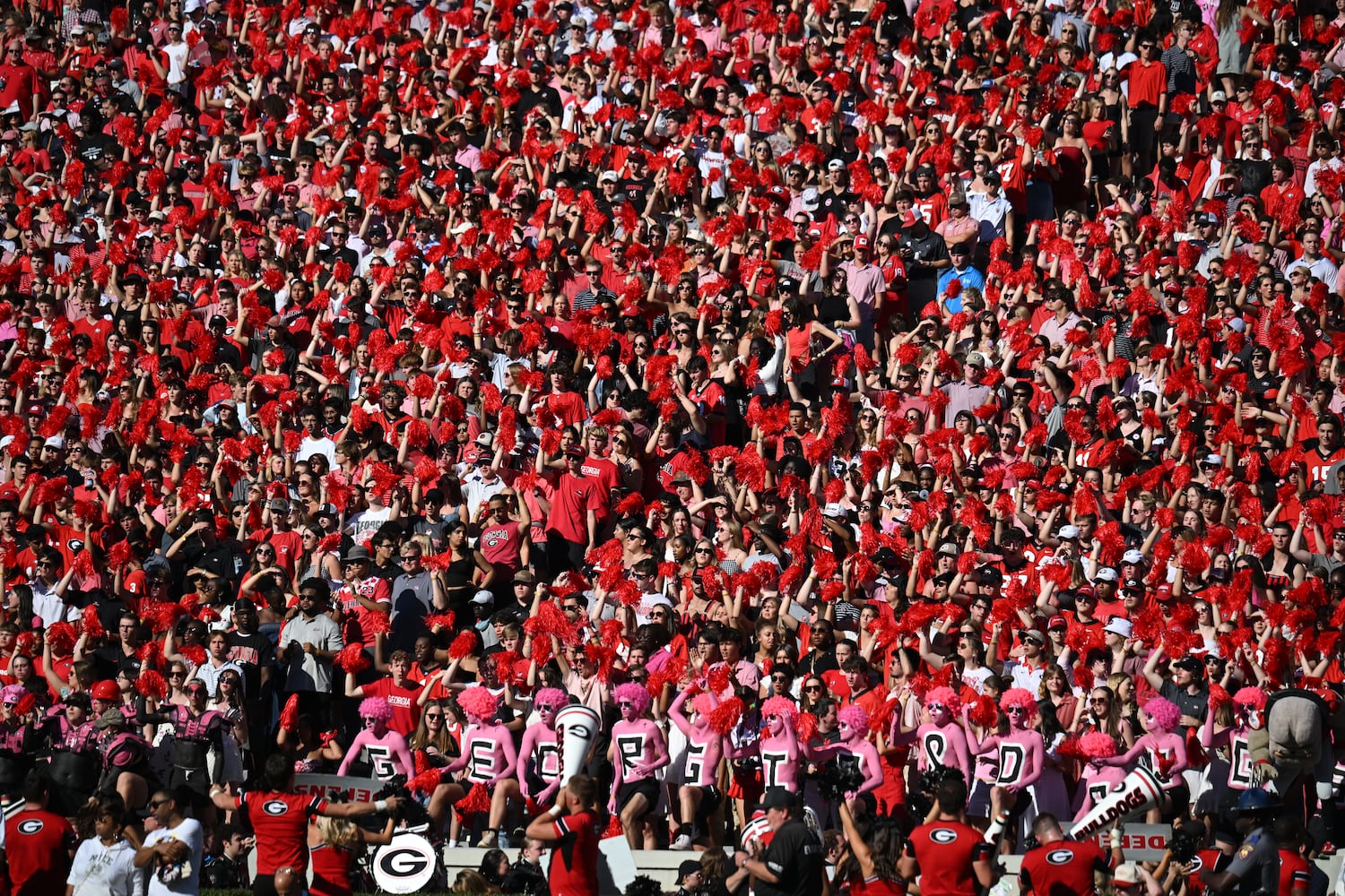 Georgia vs Mississippi State photo