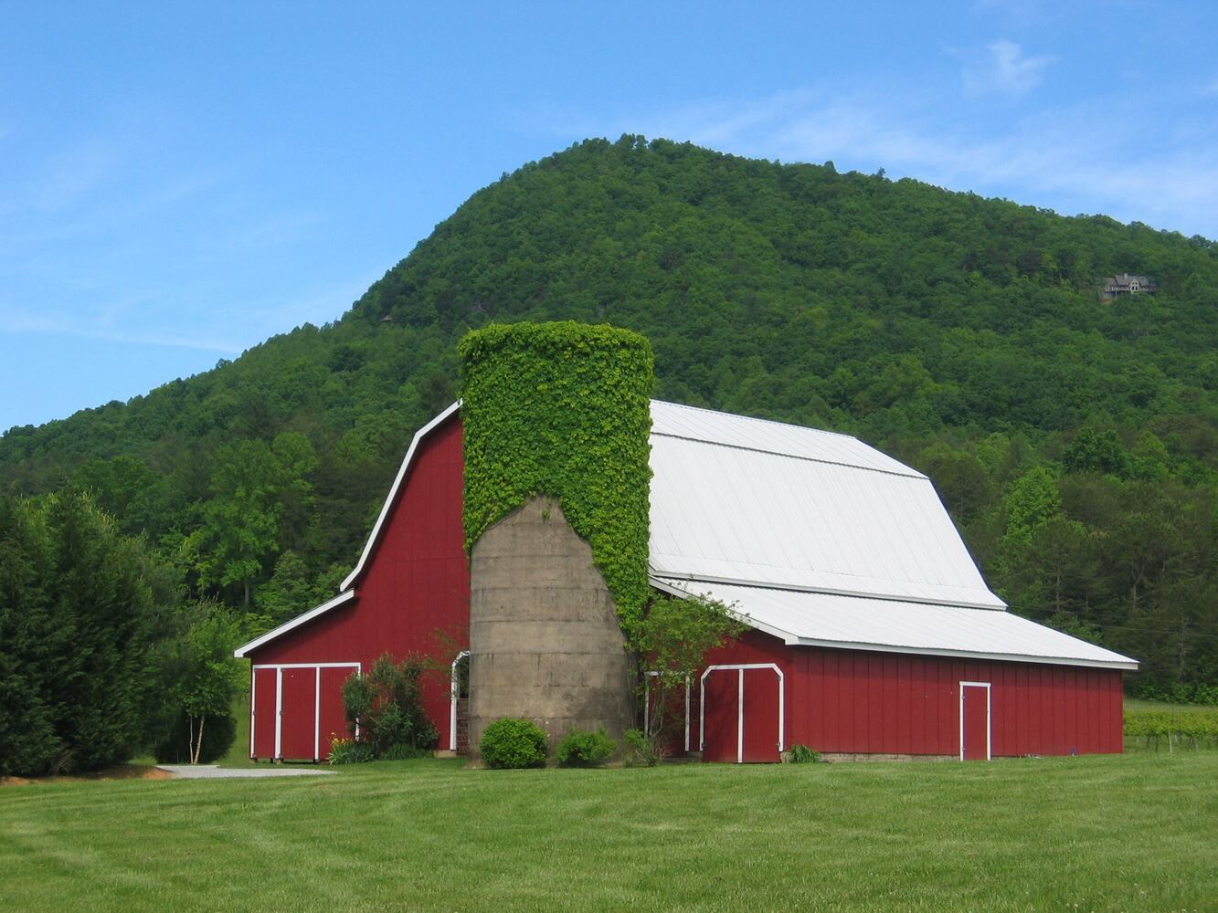 Author’s story of starting a family-run winery is a fine blend