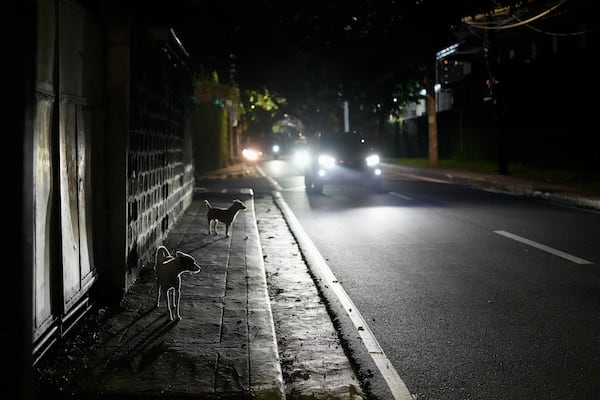 Dogs walk in a dimly lit portion of Balete Drive in Quezon City, Philippines, Friday, Oct. 25, 2024. (AP Photo/Aaron Favila)