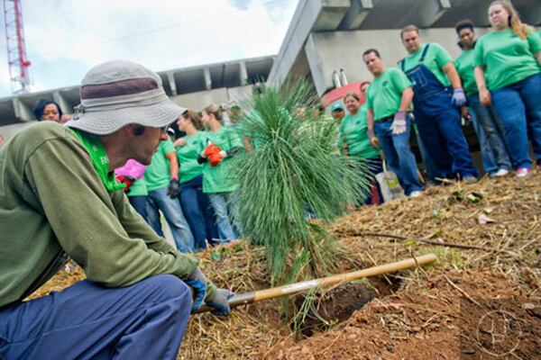 In this file photo from 2014, Brian Williams (left) demonstrates the correct way to plant a tree during an event to plant trees along the Atlanta Beltline.