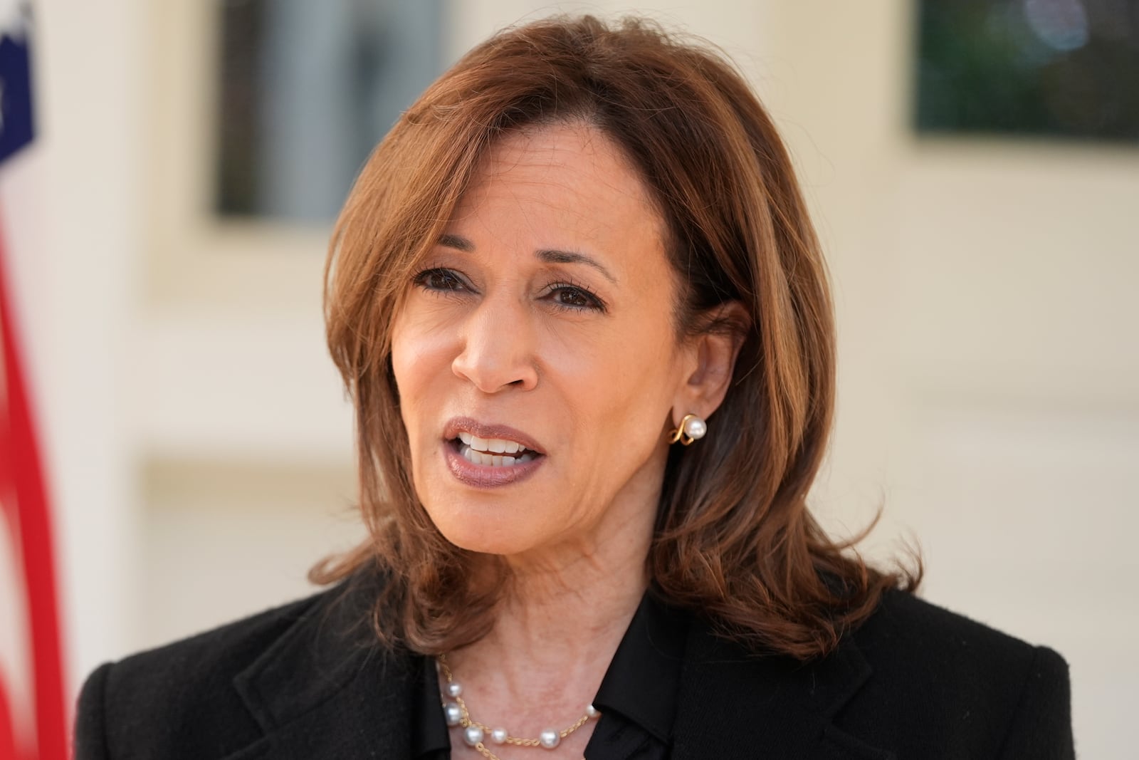 Democratic presidential nominee Vice President Kamala Harris speaks at the vice president's residence in Washington, Wednesday, Oct. 23, 2024. (AP Photo/Mark Schiefelbein)