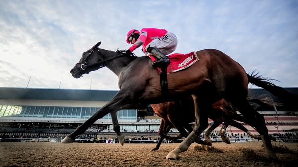 Tax, ridden by Junior Alvarado, wins the Withers Stakes on Withers Stakes Day Feb. 2, 2019, at Aqueduct Race Track in Ozone Park, N.Y.