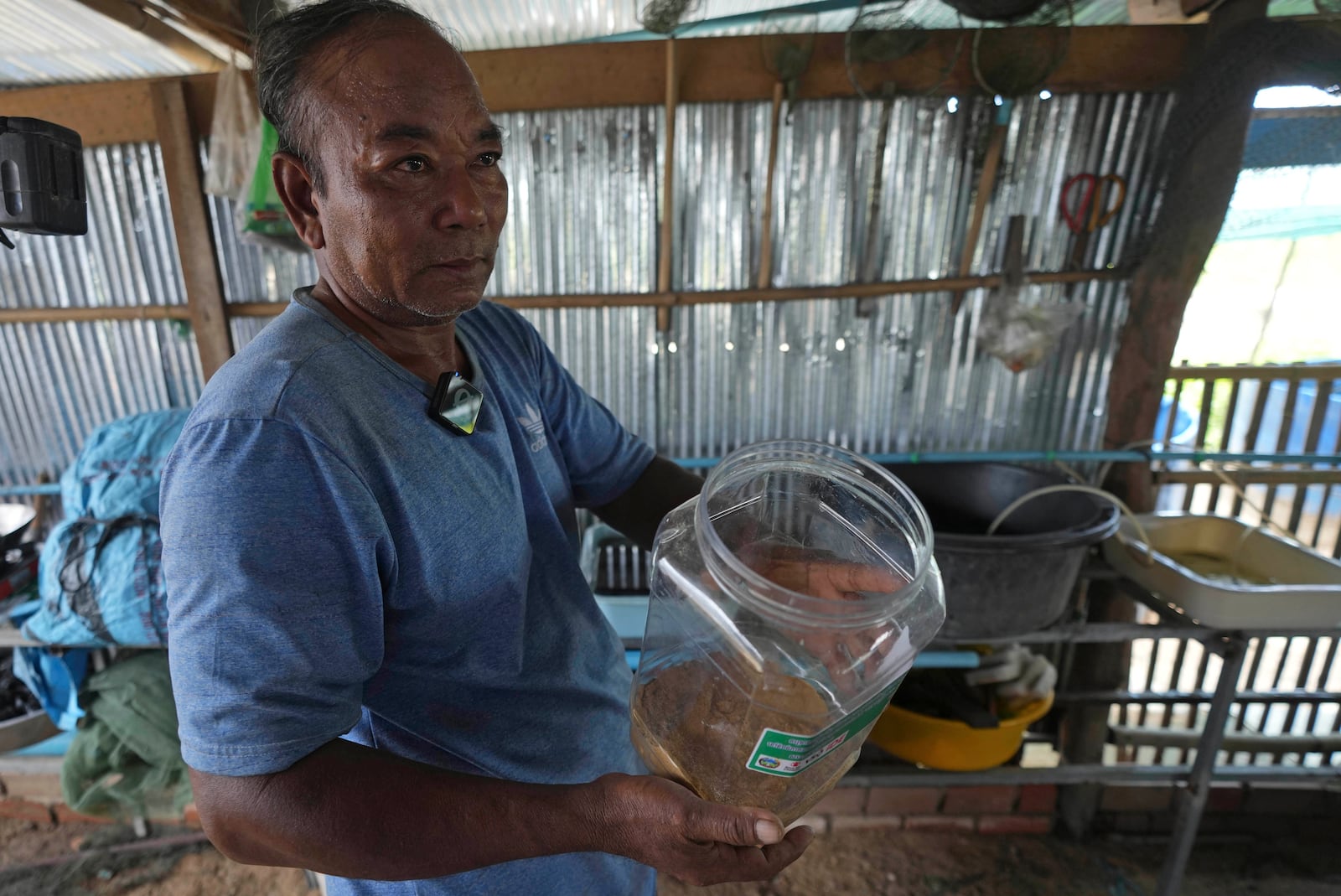 Eel farmer Em Phat, 53, works in his eel rearing place at Tonle Sap complex, north of Phnom Penh, Cambodia, Wednesday, July 31, 2024. (AP Photo/Heng Sinith)