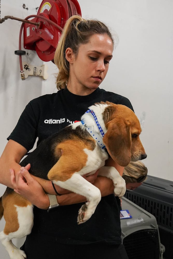 Atlanta Humane Society rescues dozens of dogs from animal testing breeding facility