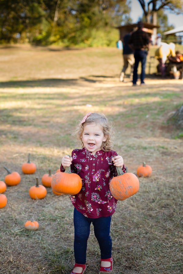 There are more than a dozen activities at Still Family Farms, including paint-a-pumpkin, kiddie climbs with hay, a marketplace and picnic tables to enjoy snacks.
(Courtesy of Still Family Farms)