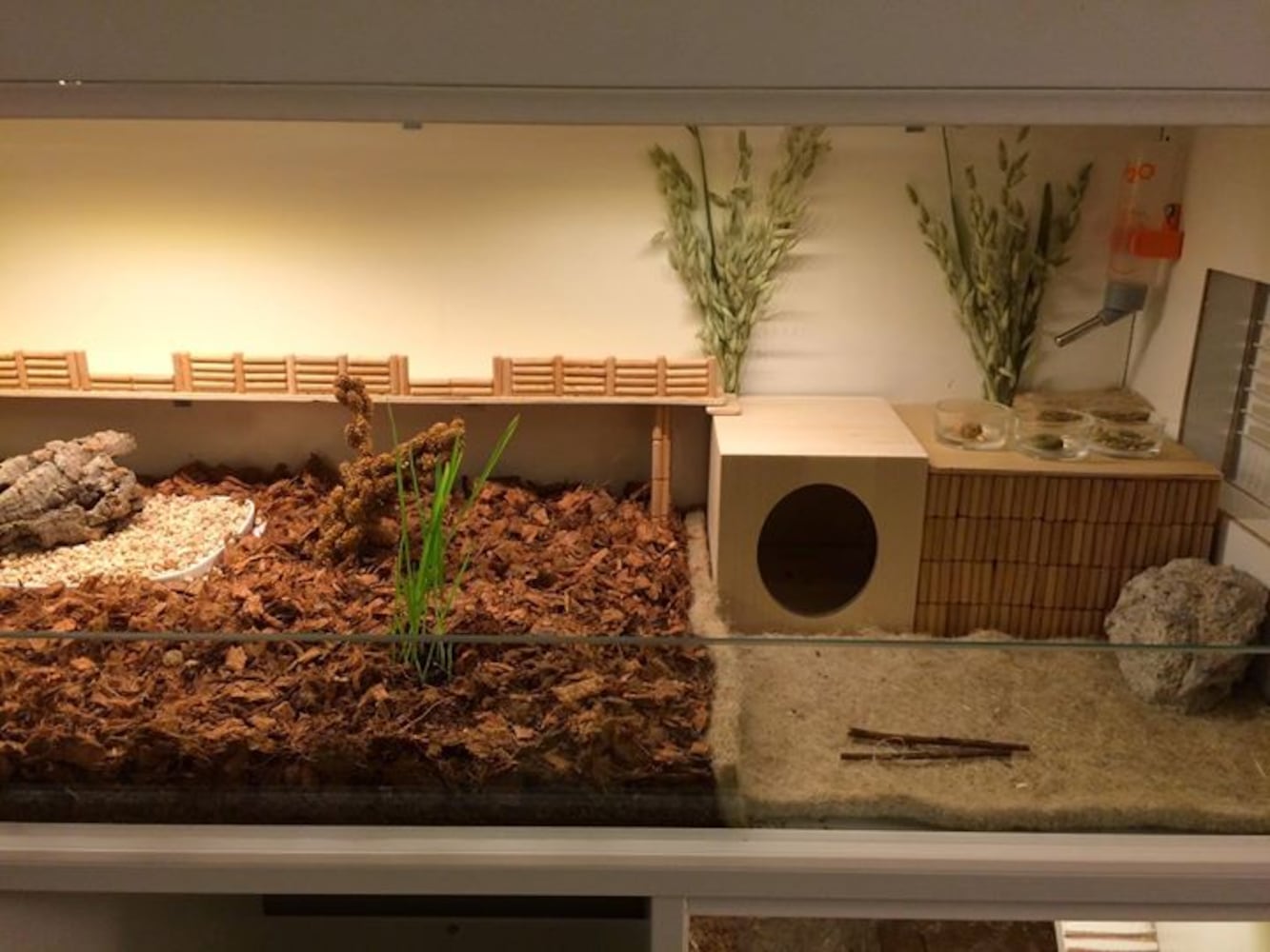 hamster mansion