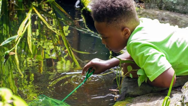 Have some good clean fun at the Melvin L. Newman Wetlands Center this weekend. 