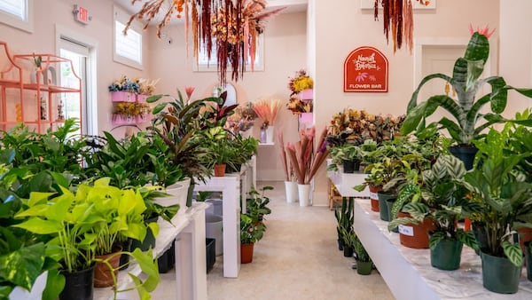 Nourish Botanica, a Black-owned greenhouse and plant shop, will be the new site of a free Spotify studio for local creators