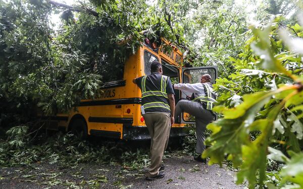 No serious injuries were reported when a large tree fell on a school bus Thursday morning on Beecher Circle, not far from Beecher Hills Elementary School.