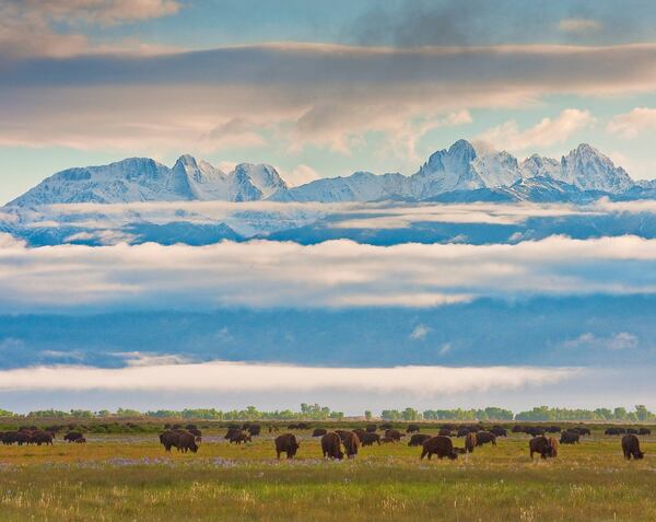 The 103,000-acre Zapata Ranch, at the foot of the Sangre de Cristo Mountains and bordering the largest system of sand dunes in North America, is one of the most scenic landscapes in the country. CONTRIBUTED BY STEPHEN WEAVER