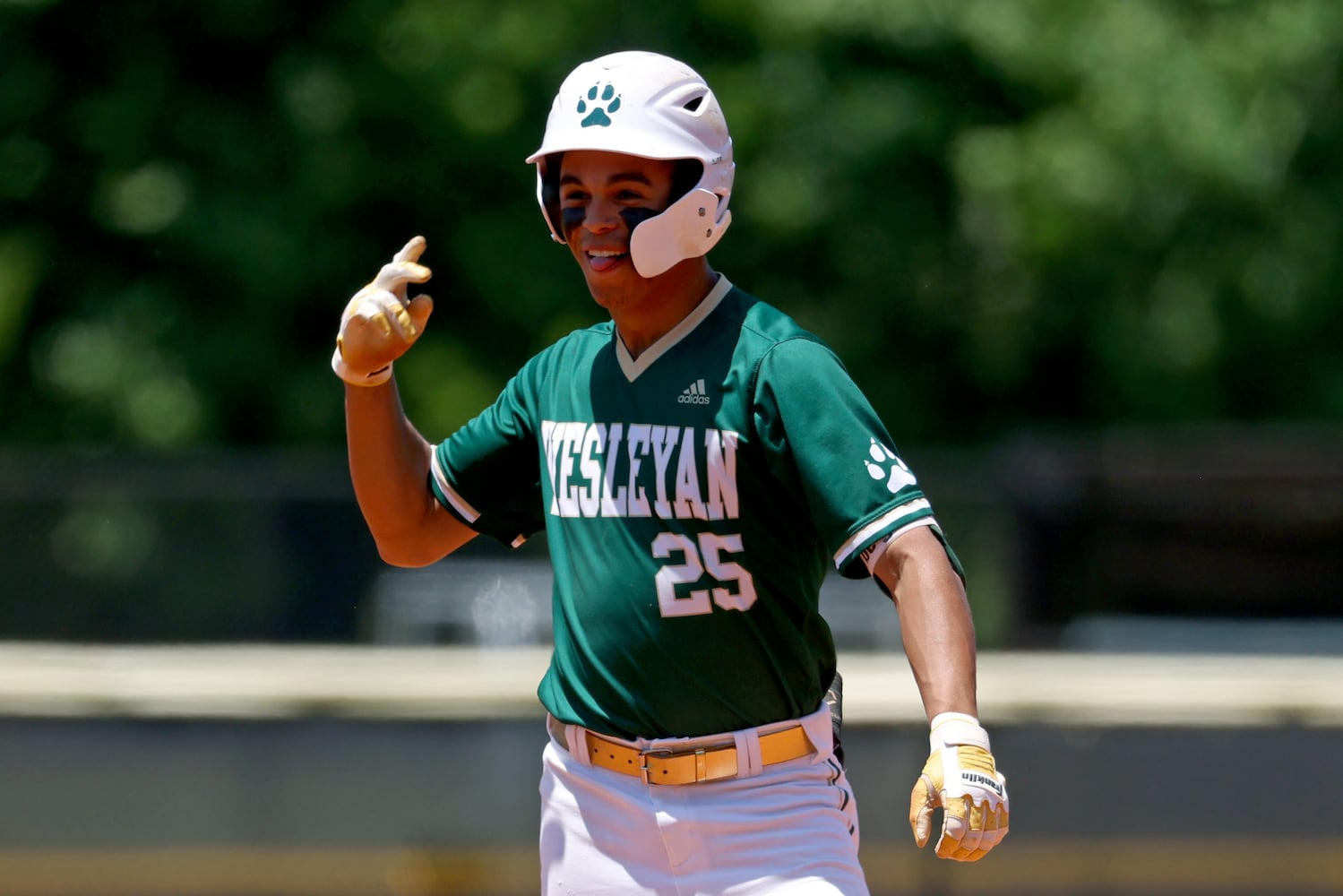 GHSA Baseball Playoffs