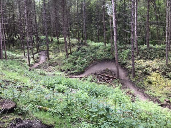 The Mr. Hyde trail snakes through a Dockton Forest gully like a halfpipe for mountain bikers. The 2.5-mile trail system opened April 22. (Craig Hill/Tacoma News Tribune/TNS)