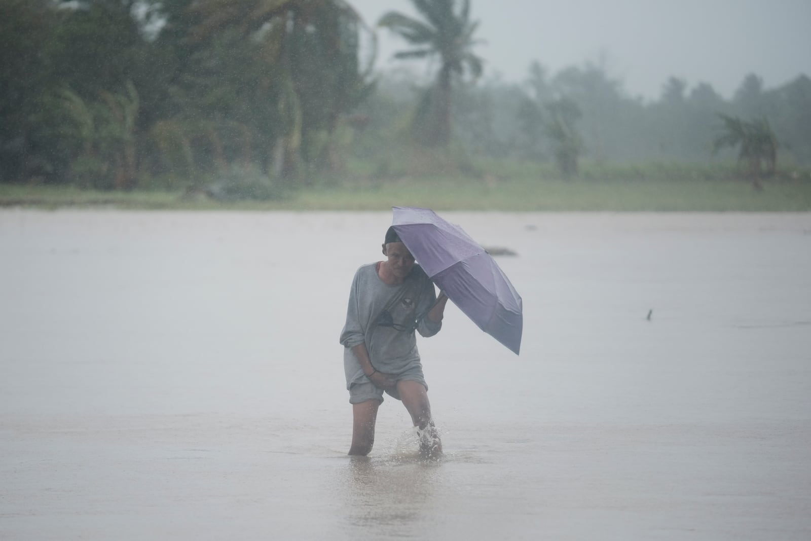 A man crosses a flooded rice field during rains on Thursday Oct. 24, 2024 after Tropical Storm Trami, locally named Kristine, dumped heavy rains at Libon town, Albay province, Philippines. (AP Photo/John Michael Magdasoc)