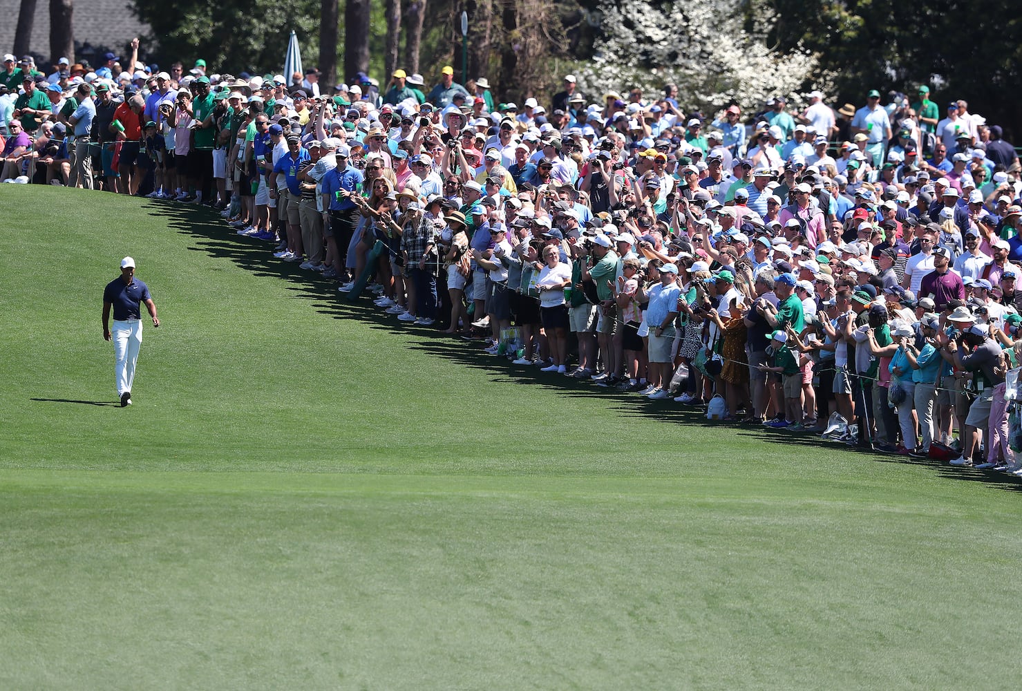 Tiger Woods at the Masters