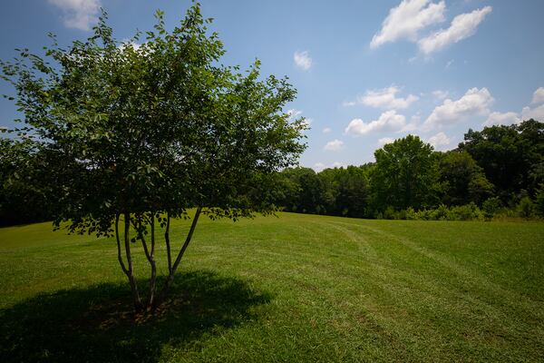 Leita Thompson Memorial Park offers wide, open spaces. Photo: Courtesy of Roswell