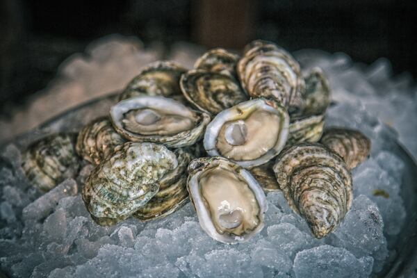  Oysters from White Stone Oyster Company