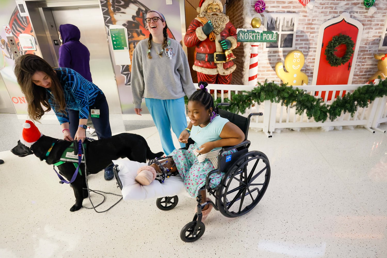 Children's new therapy dog