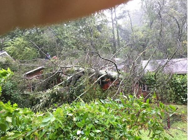 Almost as soon as the tree fell, neighbors gathered to start helping. (Credit: Michelle Hiskey)