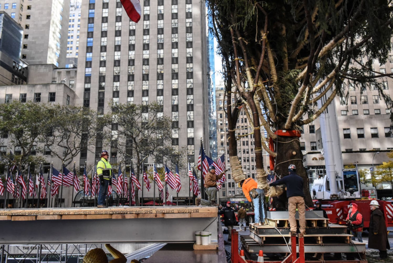 rockefeller center plaza christmas tree