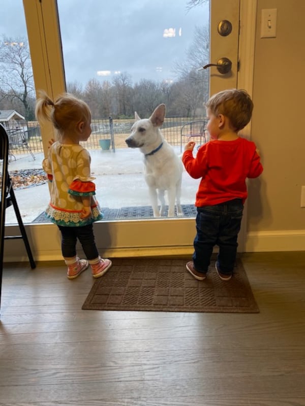 Eloise Cunningham shared this picture of her great-granddaughter and her great-nephew at her brother's ranch in Oklahoma.  "Camden is saying, "puppy, puppy."  Nora is saying, "No... dog ...no... dog."  I call it "Cousin Communication."  They are both 18 months old.  The dog's name is Bo," she wrote.