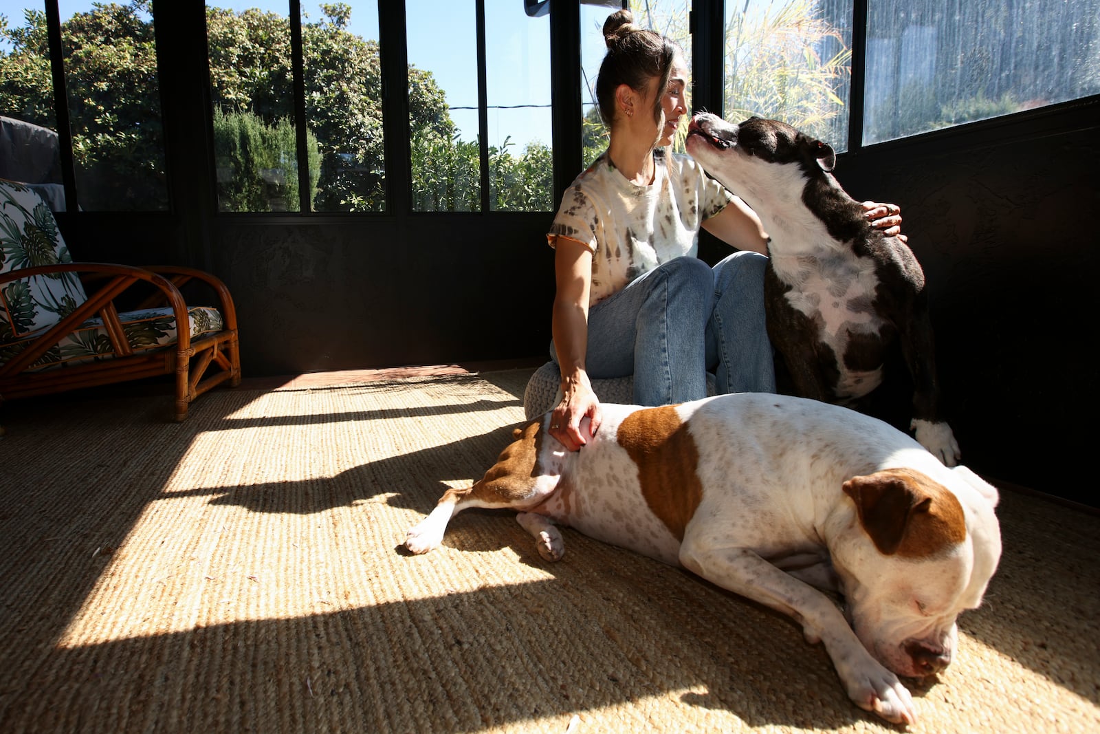 Headspace meditation teacher, Rosie Acosta, interacts with her dogs in her sun room Monday, Sept. 30, 2024, in Woodland Hills, Calif. (AP Photo/Jessie Alcheh)