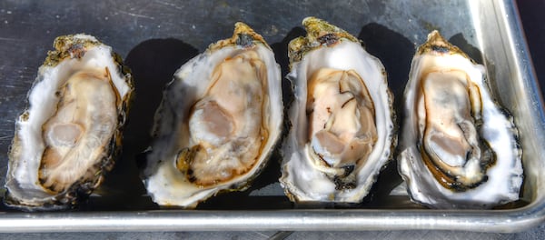 Freshly opened oysters await grilling or roasting. Food styling by Brian Wolfe and Bryan Rackley/Chris Hunt For The AJC