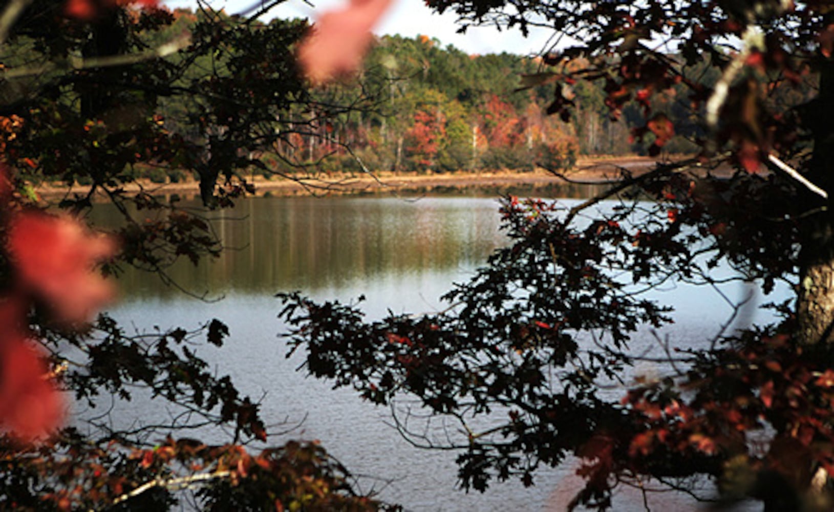 The Dog River Reservoir goes dry