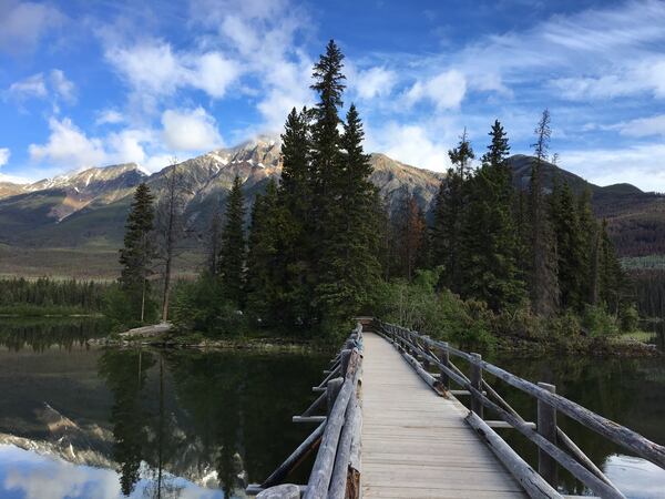 David Topper took this photo of Jasper National Park, June 2018. "Part of an amazing trip to Banff and Jasper National Parks," he wrote.