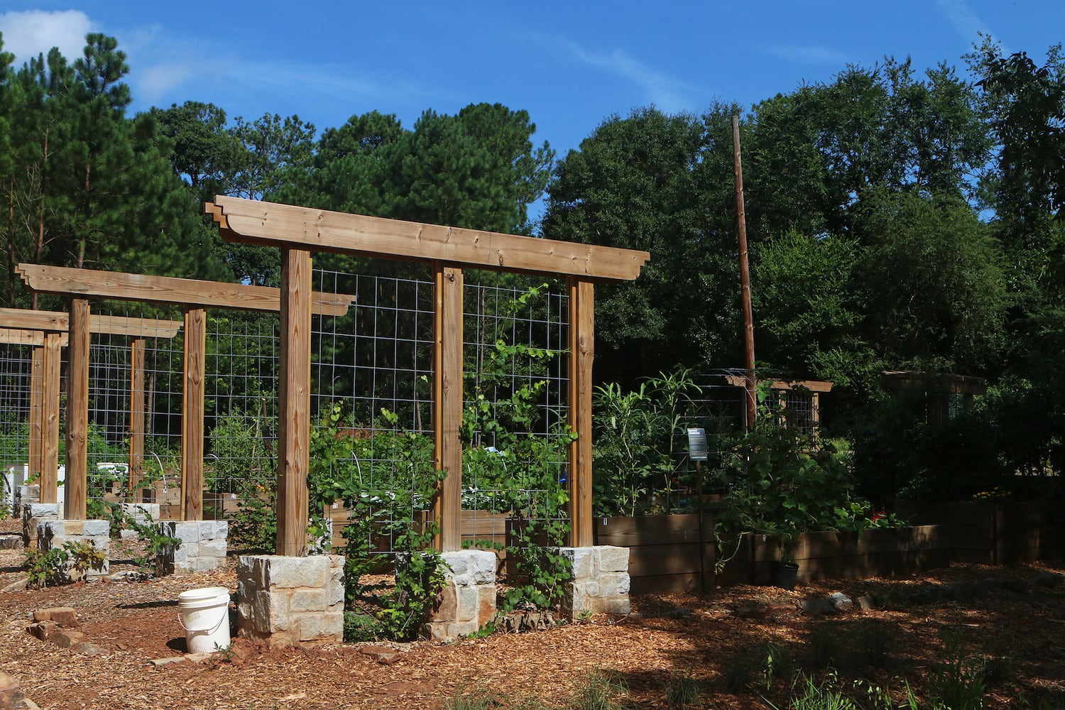 Photos: A look inside Georgia's first food forest