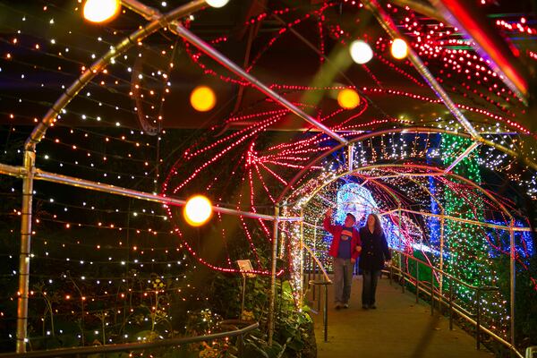 Garden Lights, Holiday Nights at the Atlanta Botanical Garden, is a yearly winter-time light show.  Photo by / JASON GETZ