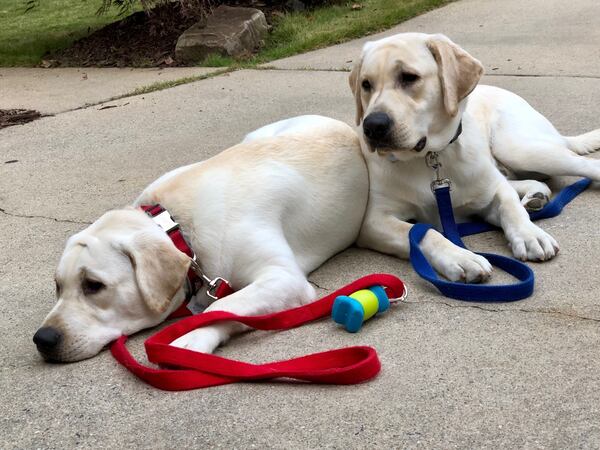 Brothers Luke (in red) and Jack Neely of East Atlanta prove that red and blue can happily live side by side. (Courtesy photo)