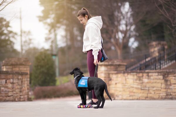 Sofia Ferentinos takes her pup Greg out for a training session in Sandy Springs. This is the third puppy the Ferentinos family has raised for Southeastern Guide Dogs. Courtesy of Nina Ferentinos