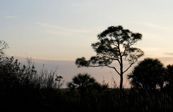 The sun sets at the Panther National Wildlife Refuge in Southwest Florida, Wednesday, Jan. 15, 2025. (AP Photo/Lynne Sladky)