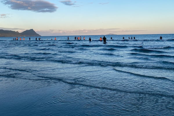 Rescuers stand in the water as they help refloat stranded pilot whales on Ruakākā Beach in northland, New Zealand, Sunday, Nov. 24, 2024. (Nikki Hartley/New Zealand Department Of Conservation via AP)