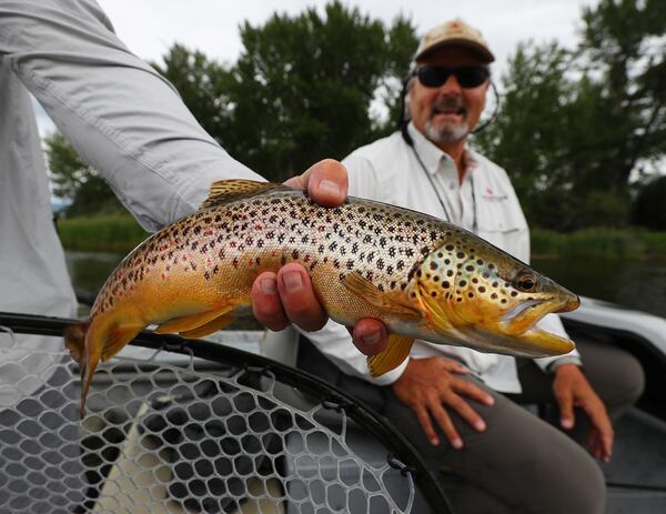 A catch worth framing: Another trout landed by Steve Bartkowski. (Curtis Compton/ccompton@ajc.com)