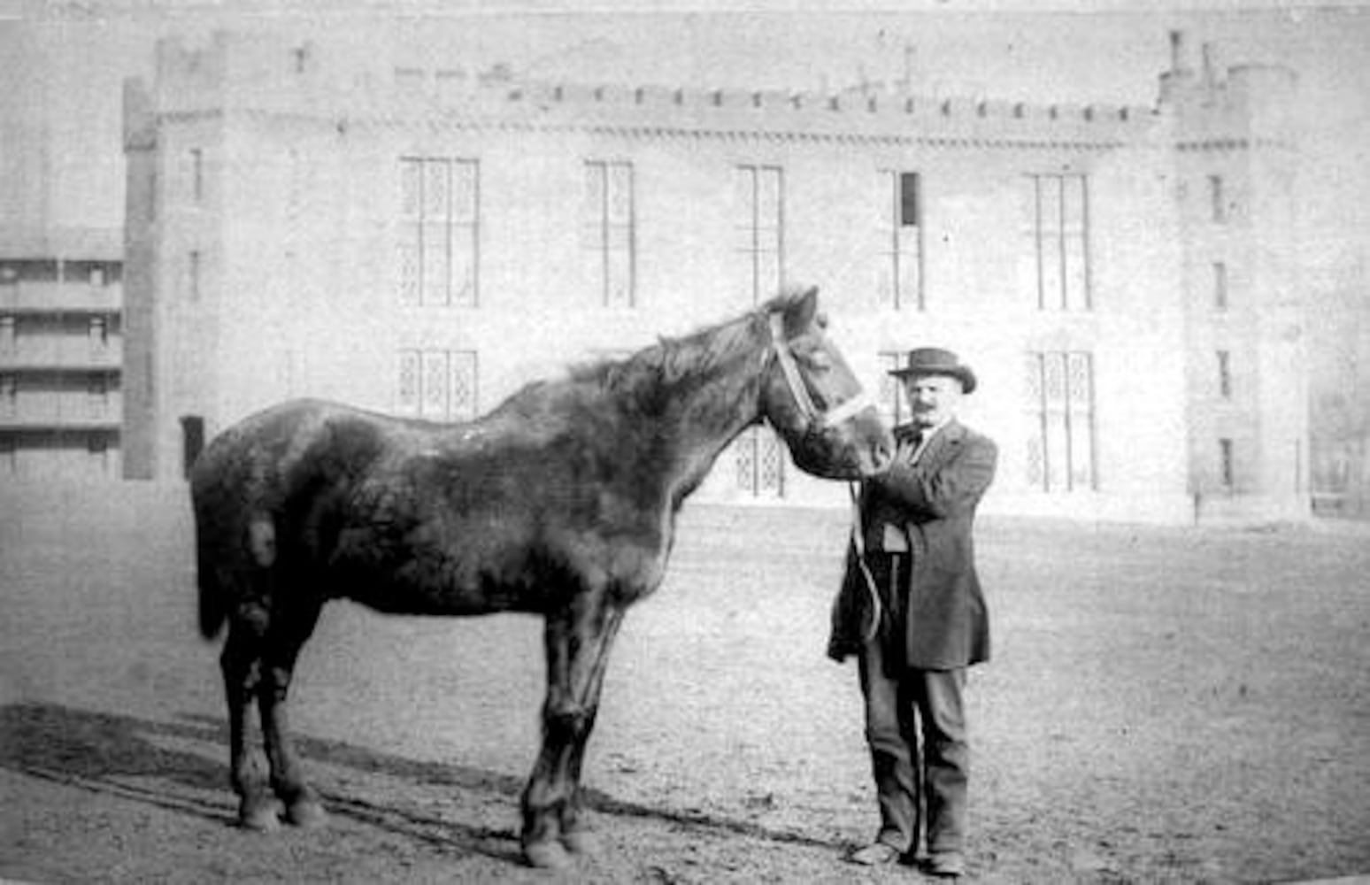 Restoring Stonewall Jackson's horse