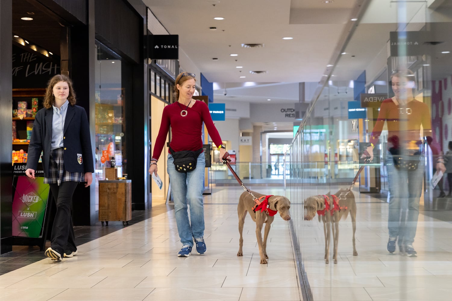 Pet photos with Santa evergreen
