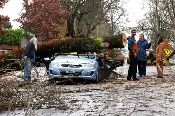 Neighbors look at the remains of small car that had a tree fall on it in the aftermath of a "bomb cyclone" on NE 35th St. after severe weather hit last night, in Seattle, Wednesday, Nov. 20, 2024. (Karen Ducey/The Seattle Times via AP)